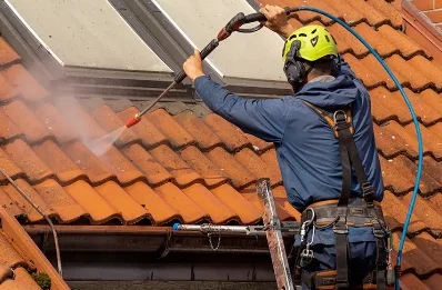 Démoussage et hydrofuge de toiture à Venzolasca